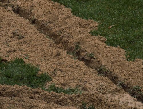 Why Does My Yard Require Grading To Pass Inspection?